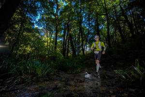 BIB: 
                            <button type="button" onclick="openModal(19240892)" class="btn btn-primary btn-sm float-right btn-popup" data-toggle="modal" data-target=".modal-high-quality">
                        <i class="fas fa-shopping-cart"></i> Add to Cart
                    </button>
                                            <button type="button" onclick="isThisMe(19240892, true)" class="btn btn-success btn-sm float-right btn-popup btn-isme hidden" data-toggle="tooltip" data-placement="bottom" title="นี่คือรูปของคุณใช่ไหม คลิกที่นี่เพื่อเอาเข้าอัลบั้ม">
                        <i class="fas fa-plus"></i> Add to album
                    </button>
                    <button type="button" onclick="isThisMe(19240892, false)" class="btn btn-warning btn-sm float-right btn-popup btn-isnotme hidden">
                        <i class="fas fa-ban"></i> Remove from album
                    </button>